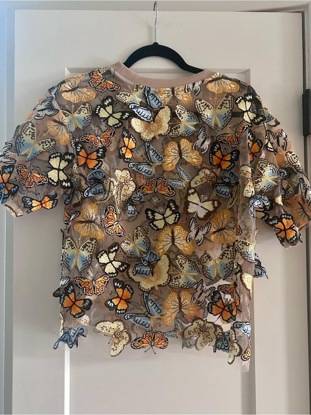 Anthropologie Dolan 3D Butterfly Embroidered Short Sleeve Top - sheer beige - Picture 3 of 5